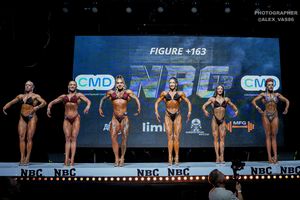 FIGURE +163